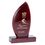 0750681a - TROPHEE 21 cm PHOTO V11